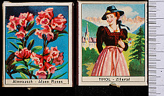 Alpine_Flower_and_Costumes